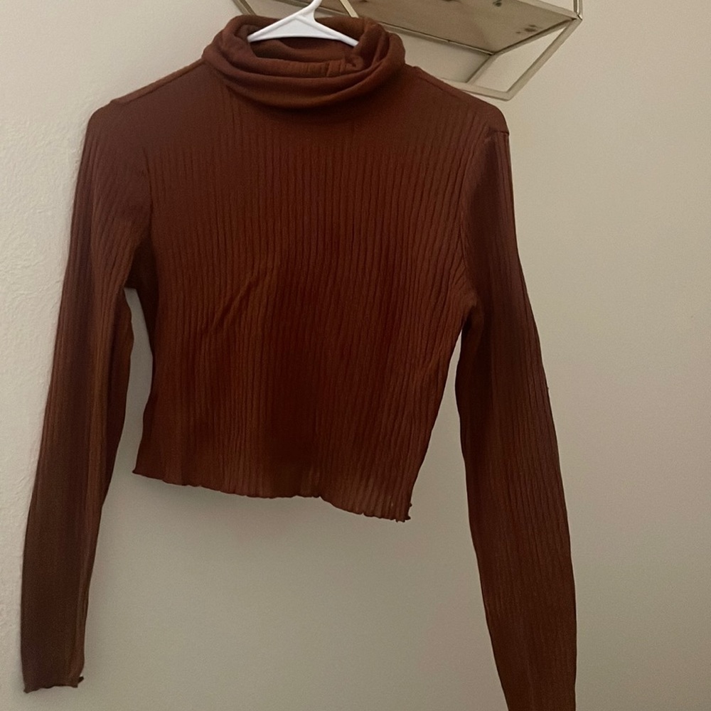 Brown Long Sleeve Turtle Neck Crop Top